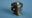Picture of 1/8'' OIL  SOLENOID VLVE