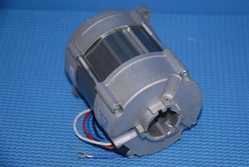 Picture of 3005820 MOTOR (40G20) 87161105260
