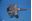 Picture of C511AWH GAS VALVE ( NAT GAS) robertshaw