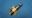 Picture of E127 PILOT BURNER