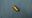 Picture of 013571 INJECTOR LPG