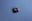 Picture of 39810230 DHW SENSOR