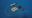 Picture of 87161128710 GASKET - BURNER MOUNTING FLANGE