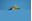 Picture of 87161423020 SENSOR