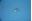 Picture of 87161482040 NUT