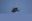 Picture of 39818770 SENSOR LOW PRESSURE