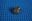 Picture of 231354BAX INJECTOR