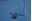 Picture of 238960 PIPE PILOT FEED
