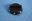 Picture of 51616HP KNOB (OBS)
