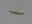 Picture of S202605 ELECTRODE