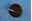 Picture of 427524 CONTROL KNOB (OBS)