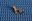 Picture of K4157 WING NUT (OBS)