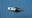 Picture of 1.021762 SENSOR was 1.015970/6.8433090A