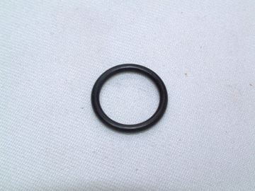 Picture of BI1001115 O RING  (EACH)