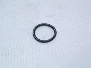 Picture of BI1001129 O RING  (EACH)