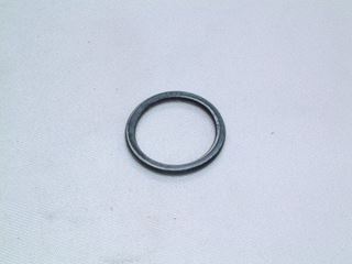 Picture of BI1001130 O RING  (EACH)