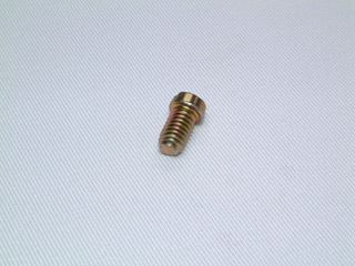 Picture of 010003 DIAPHRAGM SCREW(NLA)