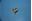 Picture of 012140 STUFFING BOX