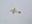 Picture of 0020107700 was188112 LEVER T/MAX