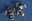 Picture of 219620 SET OF 10 CLIPS