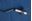 Picture of 720222901 ELECTRODE KIT