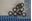 Picture of 981166 PACKING RING (10Pk)