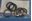 Picture of 981170 PACKING RING 10pk was 982331