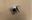 Picture of 402S185 LOW STAT WHITE