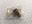 Picture of 60034687-08 PLUG ELEMENT (OBS)