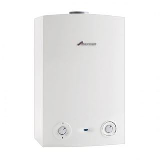 Picture of WORCESTER GREENSTAR 15RI 7733600308
