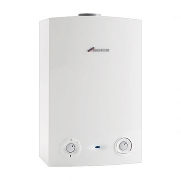 Picture of WORCESTER GREENSTAR 15RI 7733600308