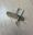 Picture of 0504869 ELECTRODE ASSY (OBS)