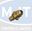 Picture of 0521839 INJECTOR (OBS)