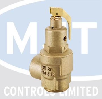 Picture of FIG542 1" SAFETY VALVE SET @ 3 BAR
