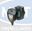 Picture of EVO PLUS 80-180 1PH PUMP 60150940
