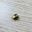 Picture of 60034548 T/COUPLE NUT (EACH)  *