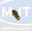 Picture of S205701 INJECTOR 3.8MM