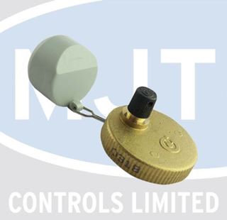 Picture of 05167500 FLOAT ASSY