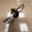 Picture of 054690 IGNITION ELECTRODE