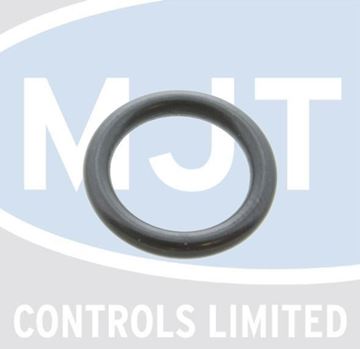 Picture of 172497 O RING