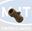 Picture of 082782 GAS SUT OFF VALVE
