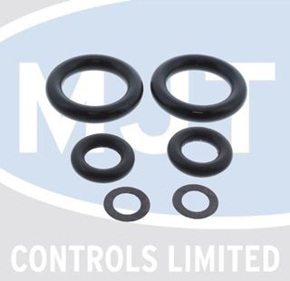 Picture of 39811420 "O" RING SET