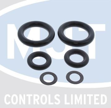 Picture of 39811420 "O" RING SET