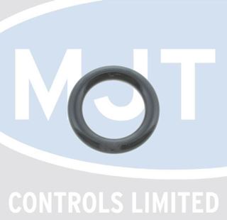 Picture of 39837680 O RINGS (PACK OF 20)