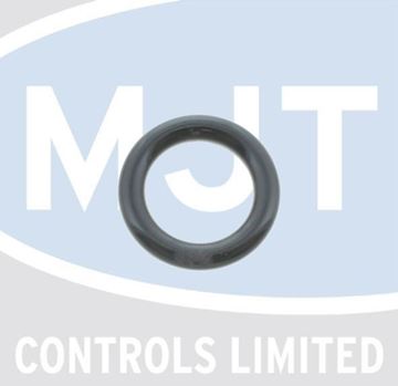 Picture of 39837680 O RINGS (PACK OF 20)