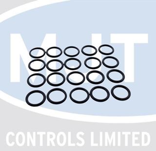 Picture of 39837700 O-RINGS (PK20)
