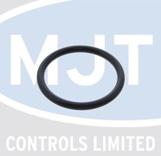 Picture of 87161022930 O RING (EACH)