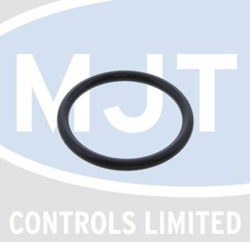 Picture of 87161022930 O RING (EACH)