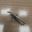 Picture of 0513119 ELECTRODE