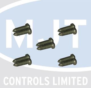 Picture of 0020107692 SCREW (PK10)
